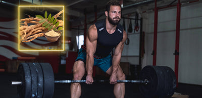 does tongkat ali increase testosterone
