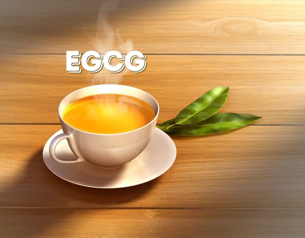 EGCG Benefits