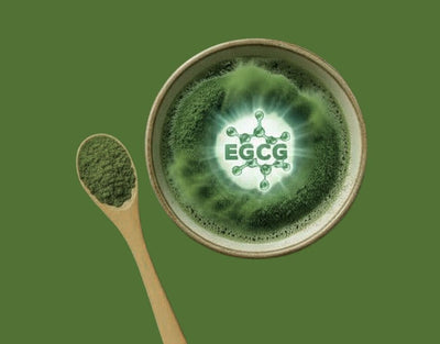 EGCG in Matcha