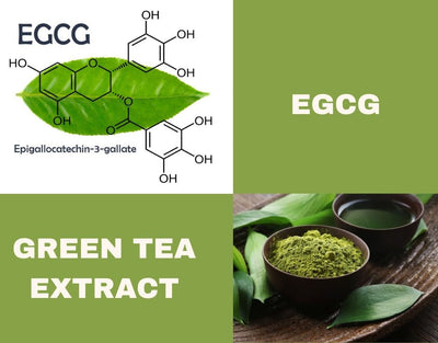 egcg vs green tea extract