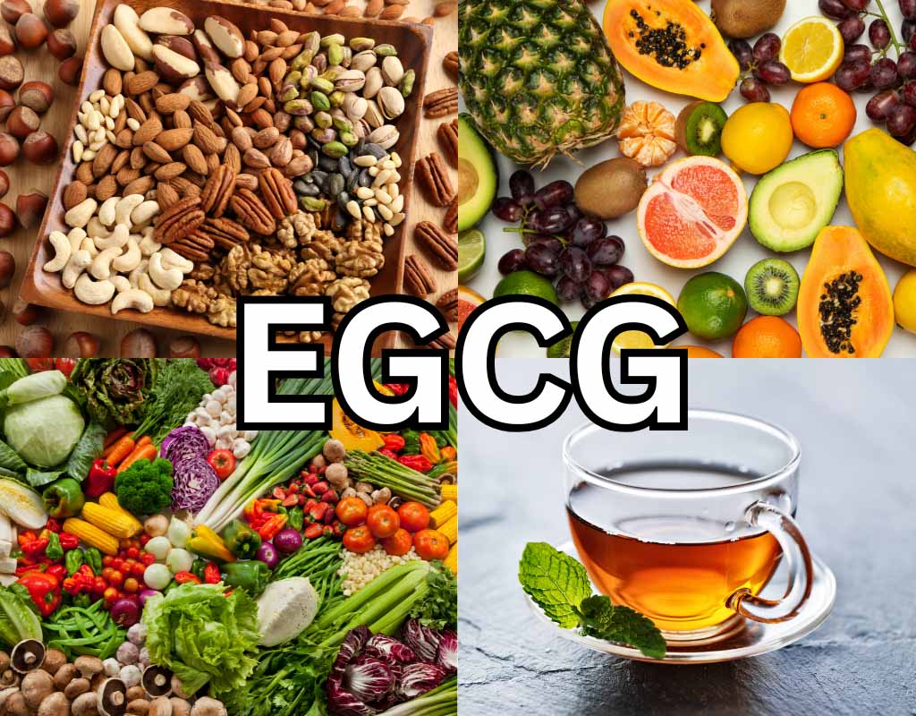 Foods high in egcg