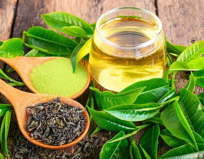 green tea extract dosage per day