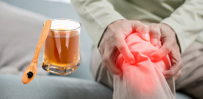 how to use shilajit for knee pain