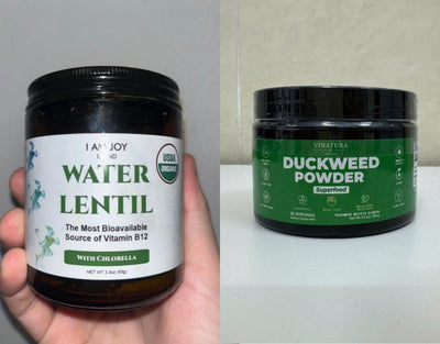 i am joy organic water lentil vs vinatura duckweed powder superfood review