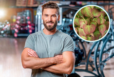 Icariin User Reviews