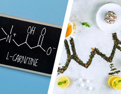 L-Theanine Vs L-Carnitine
