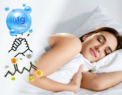 l theanine and magnesium for sleep