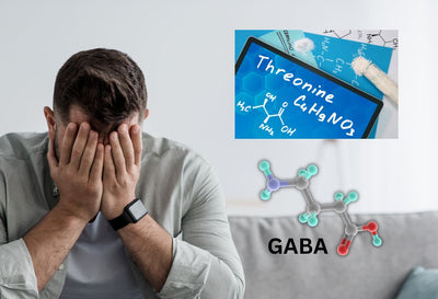 l theanine vs gaba