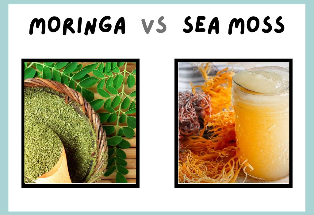 moringa vs sea moss