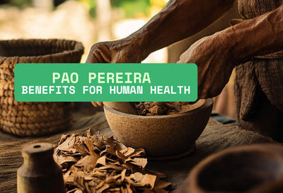 Pao Pereira Benefits