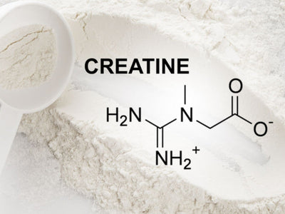 Should I Take Creatine On Rest Days?