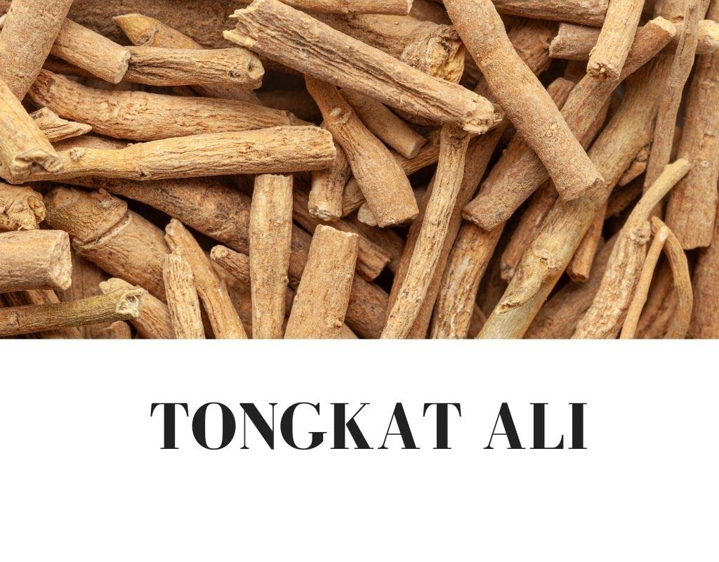 Tongkat Ali Dosage & Usage