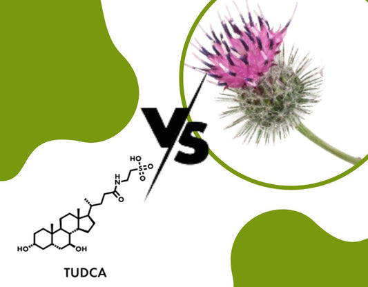 Tudca Vs Milk Thistle: Choosing One Or Taking Them Together?