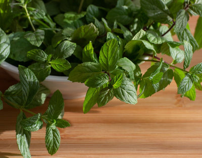 user reviews about spearmint benefits