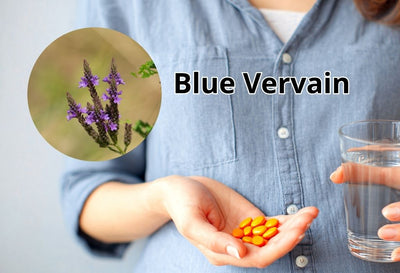 user reviews about blue vervain
