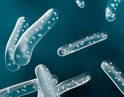 user reviews about crispatus