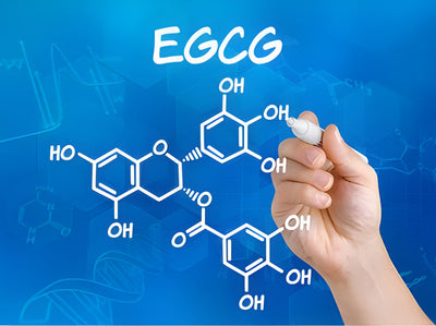 User Reviews about EGCG
