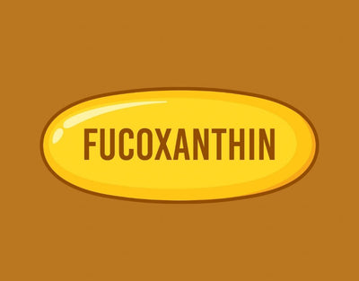 User Reviews About Fucoxanthin