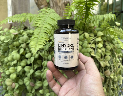 Vinatura DihydroBerberine with Ceylon Cinnamon Review