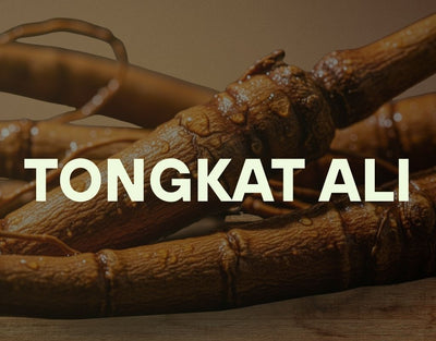 Tongkat Ali Product Forms