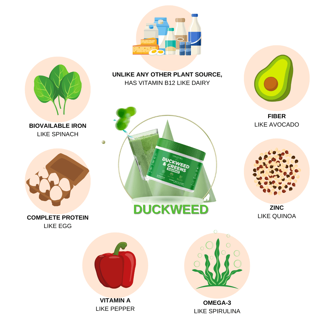 Duckweed and greens Powder Superfood